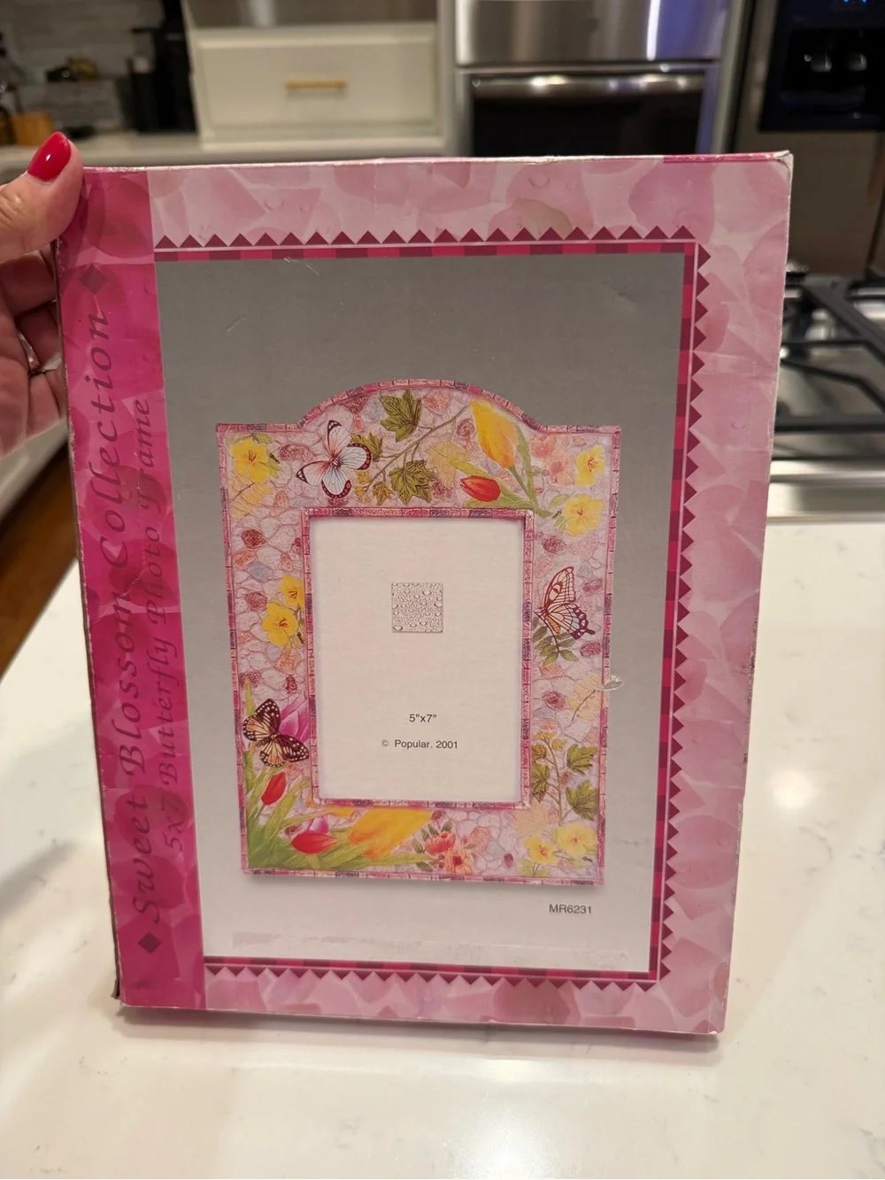 Sweet Blossom Collection Butterfly Floral 5x7 Photo Frame NIB 2001 NEW OLD STOCK